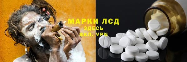 PSILOCYBIN Гусев
