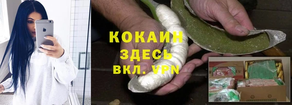 PSILOCYBIN Гусев