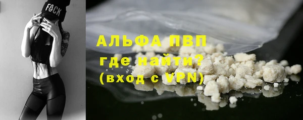 PSILOCYBIN Гусев