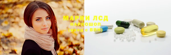 PSILOCYBIN Гусев