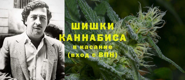 мдпв Дмитровск
