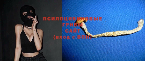 а пвп мука Гусиноозёрск