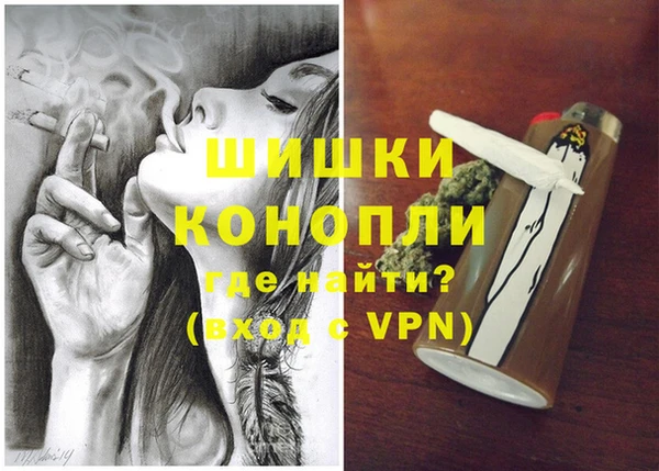 PSILOCYBIN Гусев